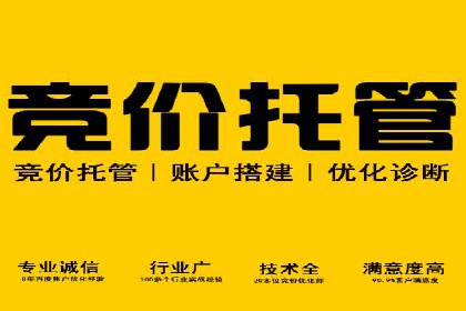 百度推广的成功案例：从零到一的突破